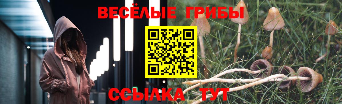 Галлюциногенные грибы мицелий Пыть-Ях