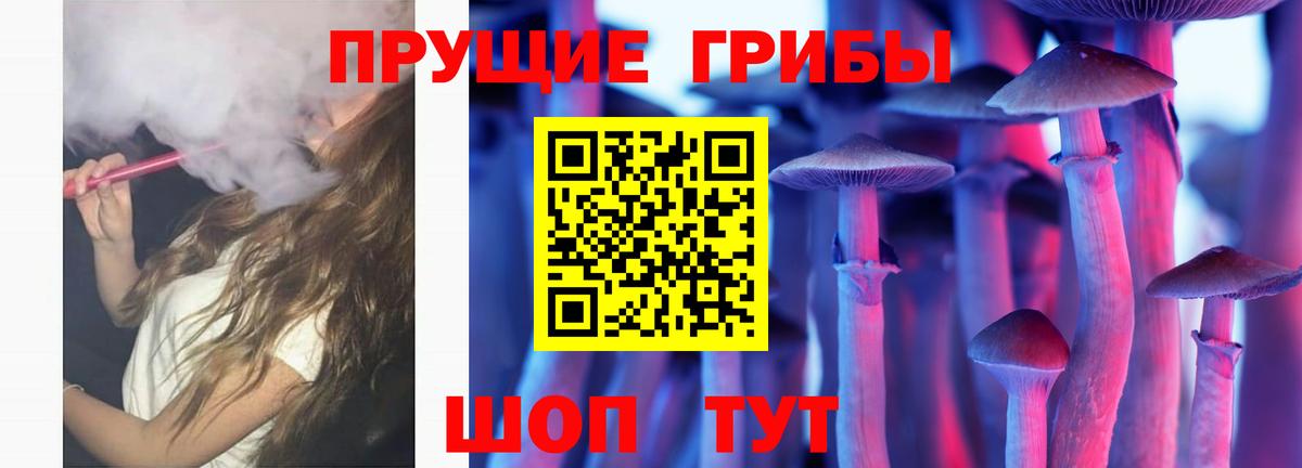 Галлюциногенные грибы Psilocybine cubensis  Псилоцибиновые грибы Cubensis  Пыть-Ях  Вход с VPN 